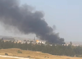 ამ წუთებში ლილოს დასახლებაში ხანძარია – რა ვითარებაა ადგილზე