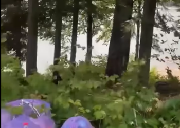 🎥რა დააფიქსირა მოქალაქემ რაჭაში – ვიდეოს საზოგადოების აღშფოთება მოჰყვა