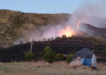 ცეცხლი გზის ნაპირზე გაჩნდა და ზემოთ, ფერდობის მიმართულებით გავრცელდა – რა ინფორმაცია ვრცელდება