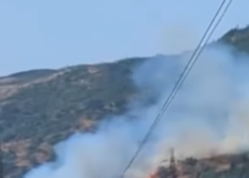 ავჭალაში მთაზე ხანძარია – რა ხდება ადგილზე