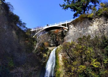 „ბოტანიკური ბაღი“ სამწუხარო ინფორმაციას ავრცელებს