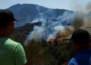 მასშტაბური ხანძრები ევროპაში – არის მსხვერპლი
