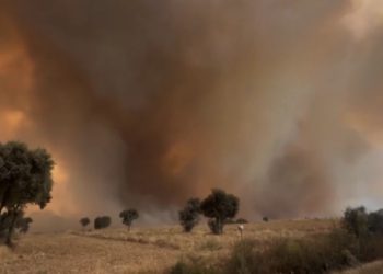 საბერძნეთის, იტალიის, საფრანგეთის, ესპანეთის და პორტუგალიის რეგიონებში განგაშის წითელი ნიშნული ამოქმედდა – ევროპის ქვეყნებში ხანძრებს ებრძვიან