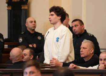 “ვიცი, რომ მაინც არ შეიცვლება აღკვეთი, გთხოვთ, რომ ერთ თვე მაინც გაგვატარებინოთ ოჯახის წევრებთან” –  ნიკოლოზ ჯავახიშვილი