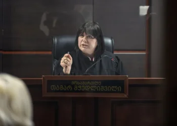 “კიდევ ერთხელ მშვიდად შეგახსენებთ, რომ სასამართლოში ხართ და არა ცენტრალურ კრიმინალურ პოლიციაში” – თამარ მჭედლიშვილი