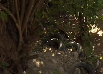 სურამის ციხის მიმდებარედ მეწყერის საშიშროებაა