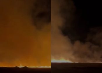 ხანძარი თბილისში, ფონიჭალას მიმდებარე ტერიტორიაზე – რა ხდება ამ წუთებში?