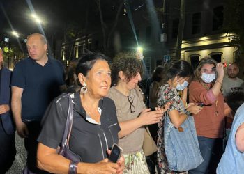 მედიის მხარდამჭერ მსვლელობას “სინათლე არ უნდა ჩაქრეს“ სალომე ზურაბიშვილი შეუერთდა