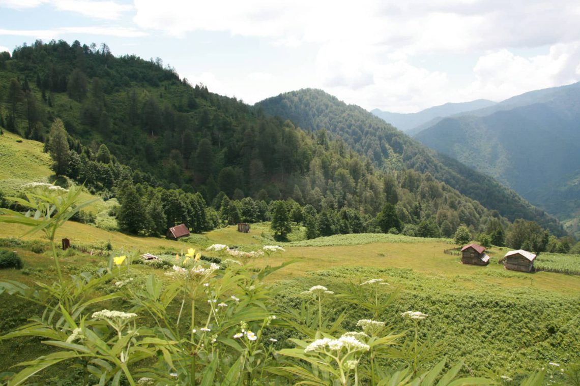 „მთის ჰაერით მკურნალობა ერთ-ერთი უმნიშვნელოვანესია…“ – პედიატრის საჭირო რეკომენდაცია