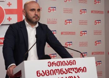 რა კომენტარს აკეთებს ლევან ხაბეიშვილი თორნიკე რიჟვაძის საქმესთან დაკავშირებით