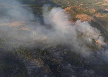 ავჭალა-ზაჰესის შემოვლითი გზის მიმდებარედ გაჩენილი ხანძარი ლიკვიდირებულია