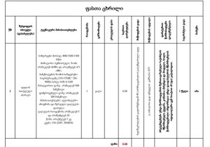 "სუს-ი შესასყიდად ეძებს ფულის სათვლელ აპარატს, პატარა ყურსასმენებს და სირენებს" - ბესიკ დონაძე