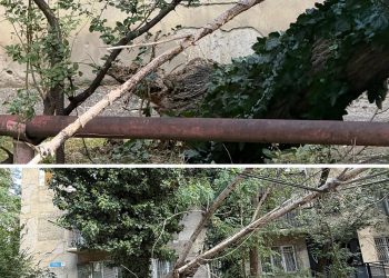 ძლიერი ქარის შედეგად თბილისში ხე წაიქცა და ელექტროსადენებს დაეცა – რა ხდება ადგილზე