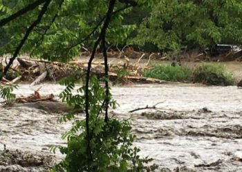 სტიქია ლაგოდეხში – დაიტბორა სახლები, ვენახები და ბოსტნეულის ბაღები