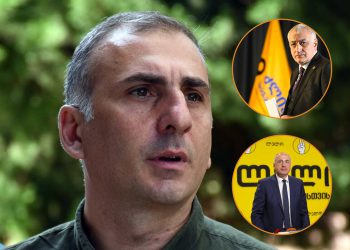 “ვითომ ტალახი გვესროლა…ძალიან მოულოდნელი იყო” – როგორ ეხმიანება ელისაშვილი ხაზარაძე-ჯაფარიძის შეწყალებას