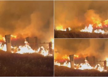 მარნეულში ჯანდარის სასაფლაოზე ძლიერი ხანძარია – რა ხდება ადგილზე