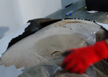 “200 კილოგრამი „ჰეროინი“ ამოიღეს” – შსს ინფორმაციას ავრცელებს