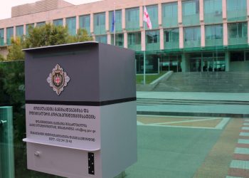 “პერფორმანსები არ ისჯება, ისჯება დანაშაული” – სუს-ი ანა წითლიძეს განცხადებაზე