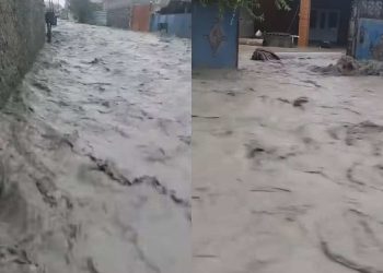 ლაგოდეხში სტიქიას ებრძვიან – რა ხდება ადგილზე