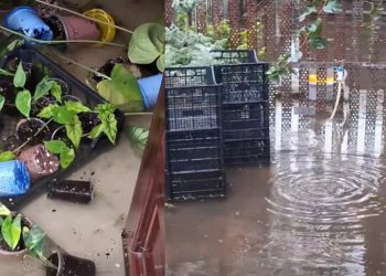 სტიქია ფოთში – დატბორილია, ქუჩები და ეზოები