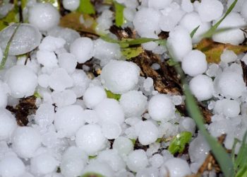 კახეთში მეორე დღეა სტიქიას ებრძვიან – რა ვითარებაა ადგილზე