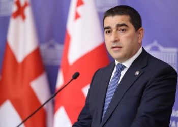 შალვა პაპუაშვილი ასახელებს პარტიებს, რომელთა აკრძალვის აუცილებლობაც არ იკვეთება