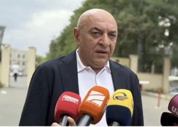 “როგორც ვიცი, თორნიკე რიჟვაძე უახლოეს დღეებში დაბრუნდება და ყველა კითხვას პასუხს გასცემს” –  ალექსი ახვლედიანი