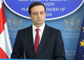 სახალხო დამცველის ხელფასი გაიზარდა – რამდენს შეადგენს იოსელიანის ანაზღაურება?