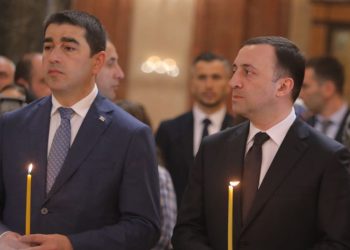 პაპუაშვილი ღარიბაშვილზე პირველ  კომენტარს აკეთებს