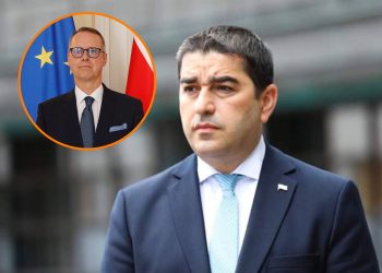 “მნიშვნელოვანია, რომ ელჩი ასრულებდეს არა კედლის, არამედ ხიდის როლს” – პაპუაშვილი პეტერ ფიშერზე