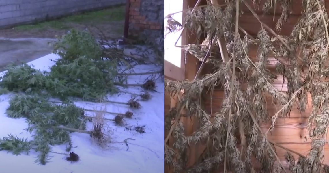 “დანაშაულები 20 წლამდე ან უვადო თავისუფლების აღკვეთას ითვალისწინებს” – შსს