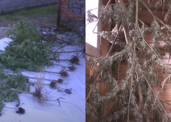 “დანაშაულები 20 წლამდე ან უვადო თავისუფლების აღკვეთას ითვალისწინებს” – შსს