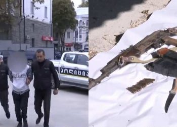 “დაკავებულს ბრალად ედება ქურდობა და ცეცხლსასროლი იარაღის, ასევე, საბრძოლო მასალის უკანონო შეძენა-შენახვა-ტარება” – შსს