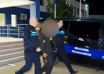 “უცხო ქვეყნის 121 მოქალაქე საქართველოდან გააძევეს” – შსს