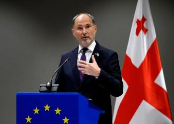 ” ანგარიშის დასკვნები გამანადგურებელია საქართველოს ევროპული მისწრაფებებისთვის”- ჰერჩინსკი