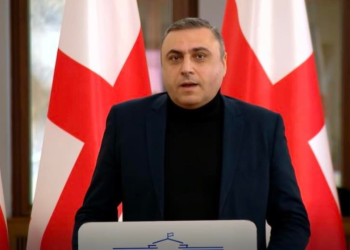 “სრულიად ცრუ ნარატივია, თითქოს ჩვენს ძვირფასს ემიგრაციას რაიმე ფორმით არჩევნებში მონაწილეობის უფლებას ვართმევთ” – დავით მათიკაშვილი