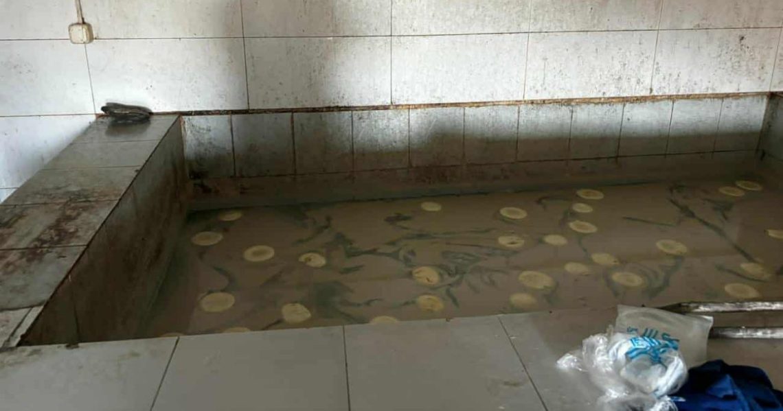 “დედოფლისწყაროში ყველის არარეგისტრირებული საწარმო გამოვავლინეთ” – სეს