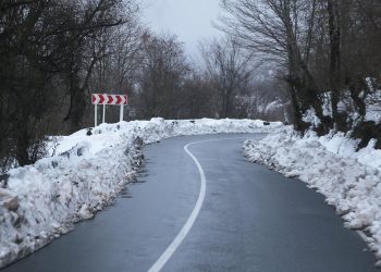 საავტომობილო გზების დეპარტამენტი მძღოლებს აფრთხილებს