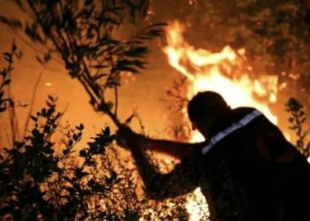 ბაღდათში ხანძარია – რა ვითარებაა ადგილზე ?