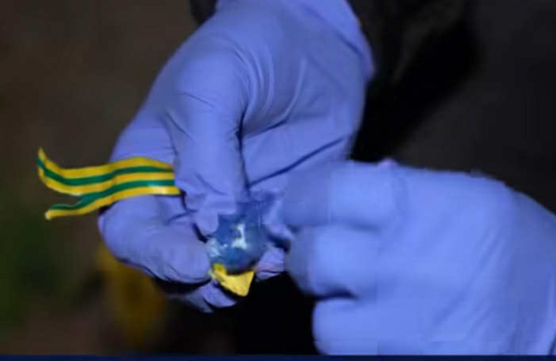 “განსაკუთრებით დიდი ოდენობით ნარკოტიკული საშუალების უკანონო შეძენა-შენახვისა და რეალიზაციის ხელშეწყობის ბრალდებით დაკავებულია ერთი პირი” – შსს განცხადებას ავრცელებს