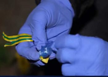 “განსაკუთრებით დიდი ოდენობით ნარკოტიკული საშუალების უკანონო შეძენა-შენახვისა და რეალიზაციის ხელშეწყობის ბრალდებით დაკავებულია ერთი პირი” – შსს განცხადებას ავრცელებს