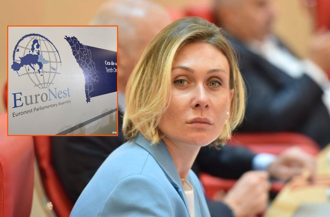 „ევრონესტის“ რეზოლუცია შინაარსისგან დაცლილია” – ნინო წილოსანი