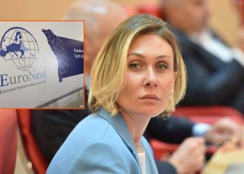 „ევრონესტის“ რეზოლუცია შინაარსისგან დაცლილია” – ნინო წილოსანი