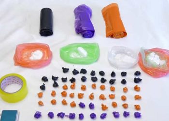 აჭარაში სამართალდამცველებმა განსაკუთრებით დიდი ოდენობით ნარკოტიკი ამოიღეს