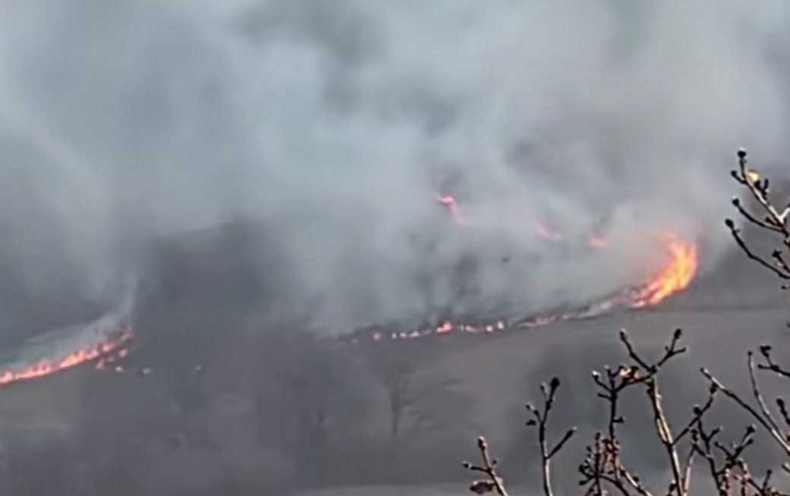 წალკა-თბილისის გზაზე ხანძარია