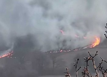 წალკა-თბილისის გზაზე ხანძარია