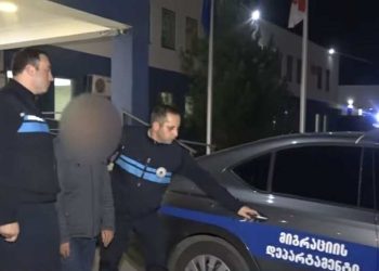 მიგრაციის დეპარტამენტის თანამშრომლებმა უცხო ქვეყნის 32 მოქალაქე საქართველოდან გააძევეს