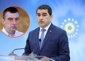 “იმედი ნაკლებია, რომ გერმანიაში კანონს პატივს სცემენ და გახარიას გადმოგვცემენ” – შალვა პაპუაშვილი