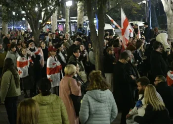 აქციის მონაწილეები მსვლელობას მართავენ