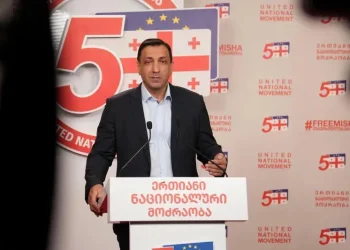 „ერთიანი ნაციონალური მოძრაობა“ „ქართული ოცნების“ წინააღმდეგ საკონსტიტუციო სამართალწარმოების პროცესს იწყებს